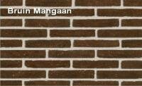 плитка ручной формовки bruin-mangaan